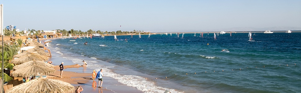 {short description of image}